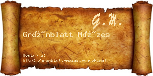 Grünblatt Mózes névjegykártya